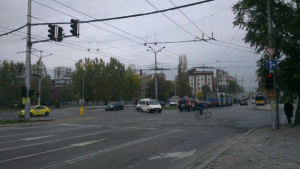 Махат опасните тополи от булевард Сливница садят чинари