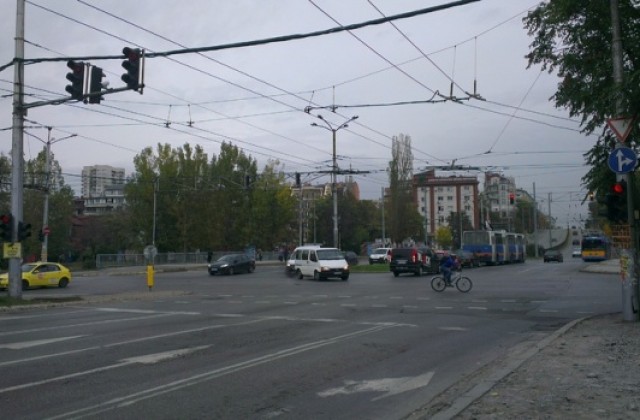 Махат опасните тополи от булевард „Сливница, садят чинари