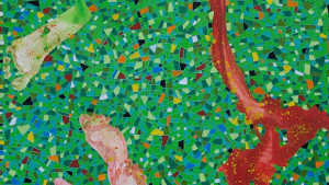 Световен футболен ас притежава картина на врачански художник