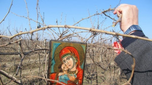 Трифон Зарезан в Стария Добрич