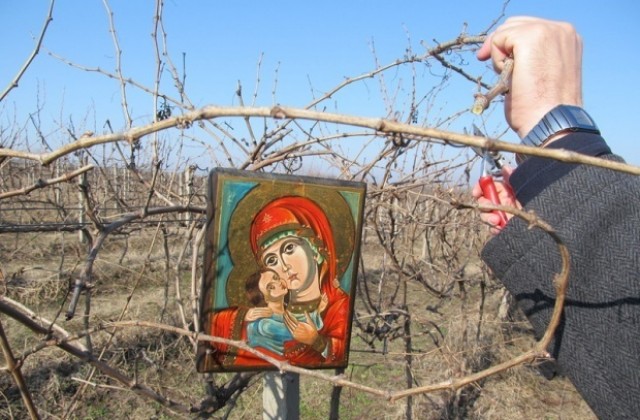 Трифон Зарезан в Стария Добрич