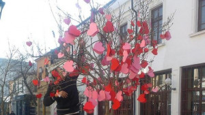 Дърво валентинка в центъра на Хасково