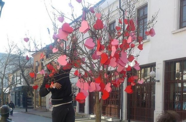Дърво валентинка в центъра на Хасково