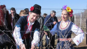 Да берат тежки гроздове си пожелаха на Трифон Зарезан в