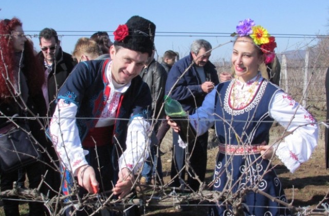 Да берат тежки гроздове, си пожелаха на Трифон Зарезан в Горски долен Тръмбеш