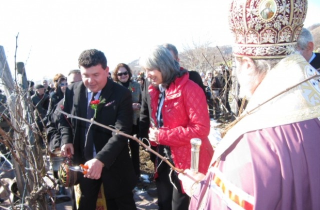 Вицепрезидент, кмет и владика зарязаха лозята в Сухиндол