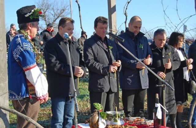 Кметът Даниел Панов заряза лозята в Килифарево