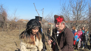 И в Лясковец зарязаха лозята наградиха най добрите майстори на