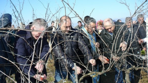 Трифон Зарезан в село Николаево