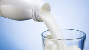 Фермери продават млякото под себестойността му