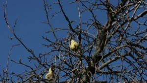 Времето на 17 февруари Облачността ще се разкъсва и намалява