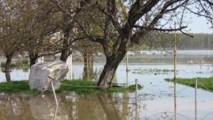 Щети за над 1 700 000 лв са нанесли наводненията