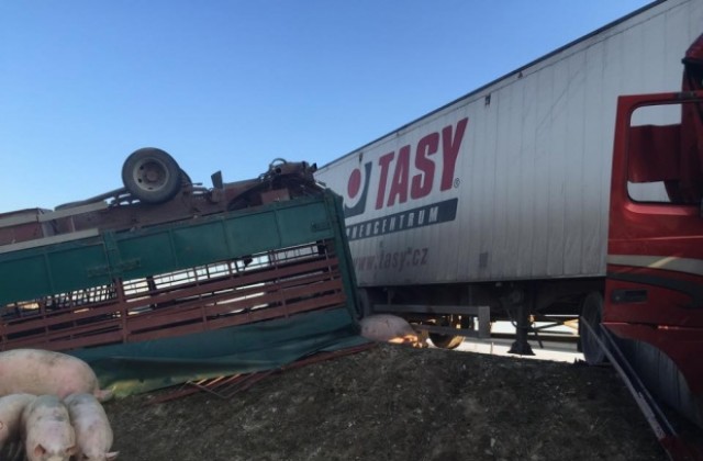 Два ТИР-а катастрофираха на магистралата