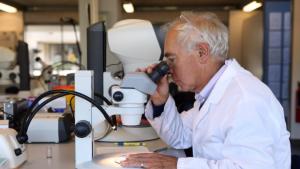 Учените са готови с нови перспективи за лечение срещу ХИВ