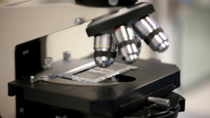 Учени създадоха карта на епигенома