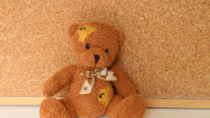 Благотворителният онлайн търг Надежда за Ванко е този петък