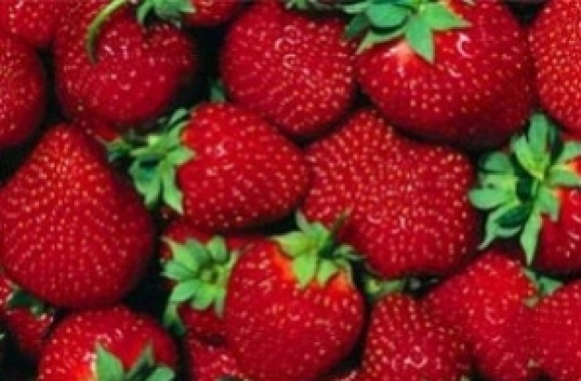 Удължават срока за испанските ягоди