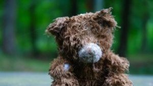 Отново Болница за плюшени мечета в Стара Загора