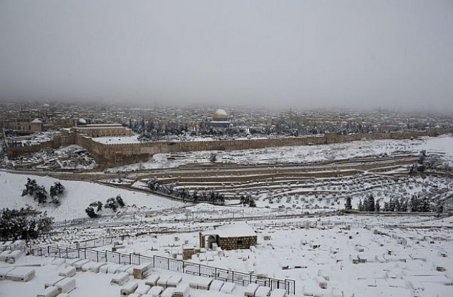 Сняг покри израелската пустиня след силна буря
