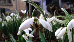 Слънцето се завръща