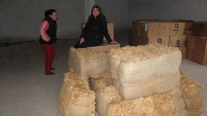 Тютюнопроизводители искат среща със земеделския министър