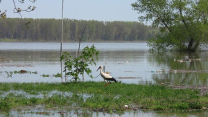 Правителството подготвя концепция за нов механизъм за подпомагане при бедствия