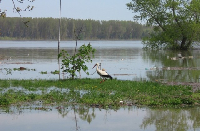 Правителството подготвя концепция за нов механизъм за подпомагане при бедствия