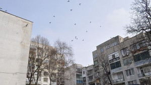 Три блока в Лозница пред старта на безплатното саниране
