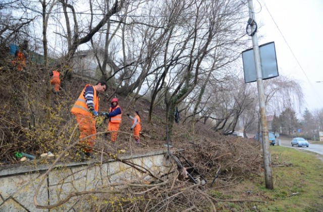 Почистват от клони, лиани и битови отпадъци край пътя за Златни пясъци