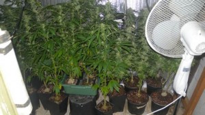 Откриха нарколаборатория