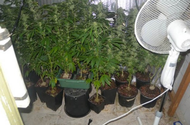 Откриха нарколаборатория