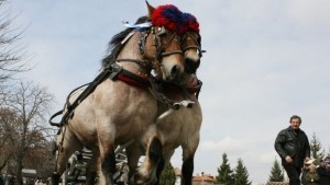 Тази събота отбелязваме Тодоровден