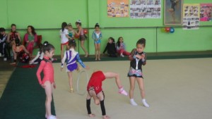 Гимнастички снимали мишки в залата на стадион Осогово