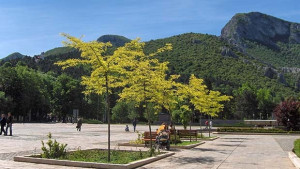 Природата безкрайно музикално вдъхновение