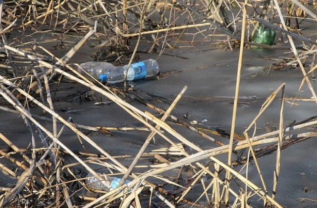 Преустановено е изтичането на фекални води в езерото „Сребърна