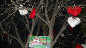 Младежи и Жени ГЕРБ с дървомартеница за врачани