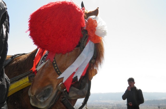 Наградиха коне и ездачи в Крупник
