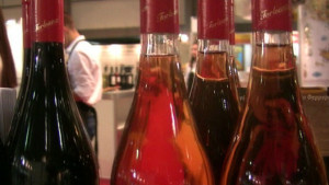 Нужна е държавна политика за развитие на лозарството