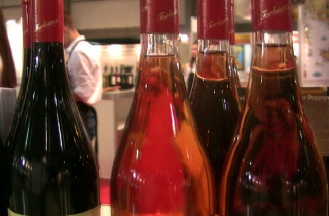 Нужна е държавна политика за развитие на лозарството