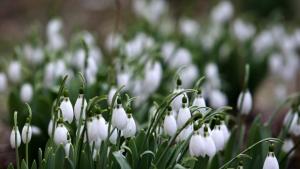 Разкъсана облачност на места и слънчево