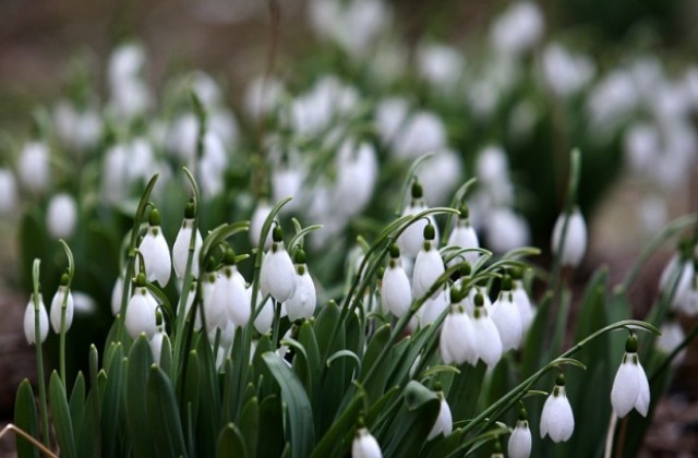 Разкъсана облачност, на места и слънчево