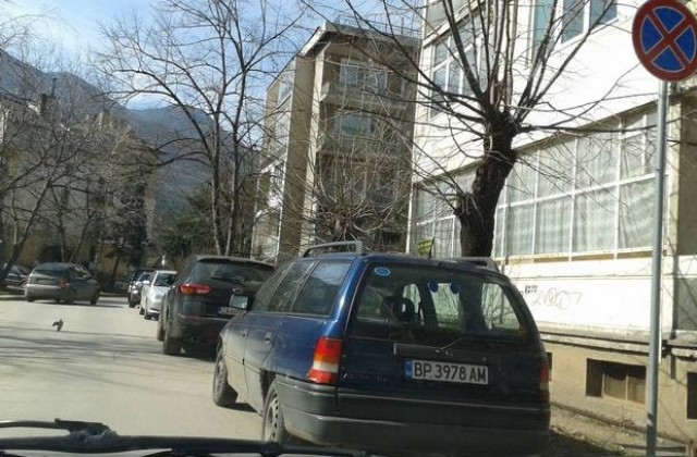 На кого му пука за знаците?!