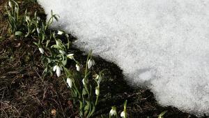 Зимата още не си е отишла очаква ни дъжд и