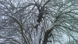 Времето се влошава обявиха жълт код за интензивни валежи