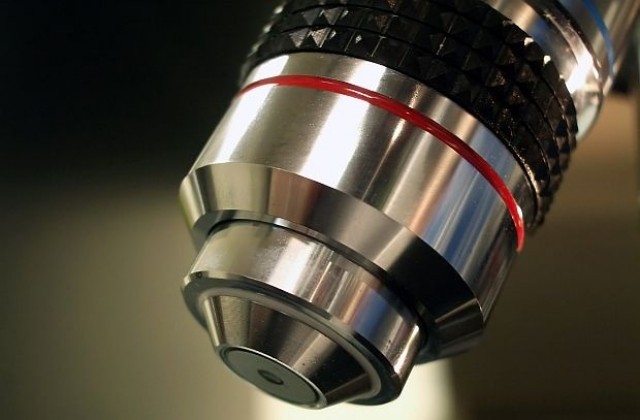 Идентифицираха най-малките бактерии в света