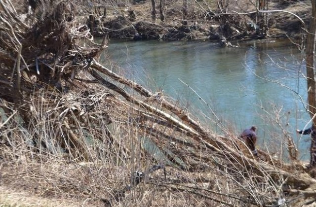 Ром - рецидивист с 4-годишна ефективна присъда е убиецът на Вероника