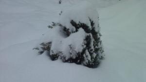 Обилен снеговалеж и умерен вятър