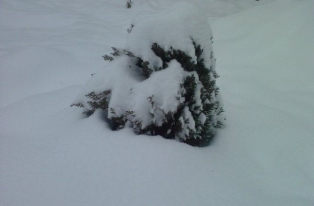 Обилен снеговалеж и умерен вятър