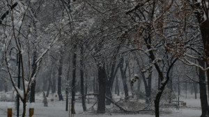 Барака се срути от снега и рани човек