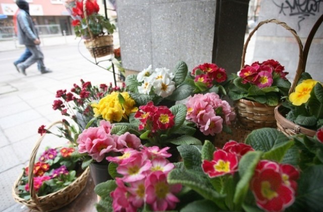 Инспектори от НАП откриха нарушения в търговията с цветя